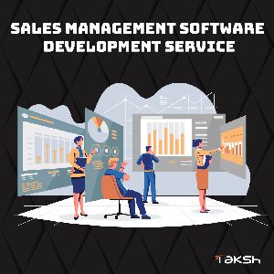Sales Management Software Development Services