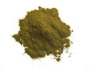 Griffonia Seed Extract