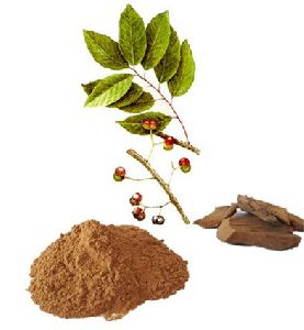 Pygeum Africanum Extract