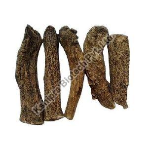 Kuth Extract, Pack Size : 10 To 25 Kg