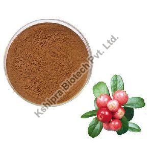 Rose Hip Extract