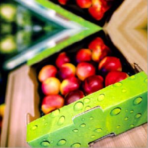 Fresh Fruit Packaging Box