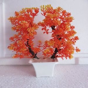 Orange Maple Tree Bonsai