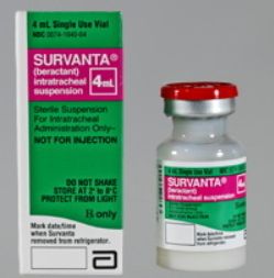 Survanta Injection