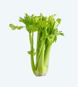 Fresh Green Celery
