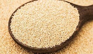 Amaranth Seed