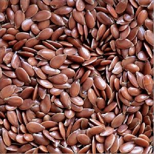 Flax Seeds / Linseed