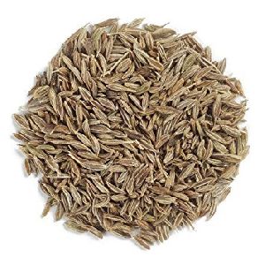 Green Cumin Seeds