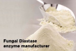 Fungal diastase enzyme