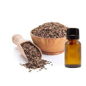 Dill Seed Essential Oil