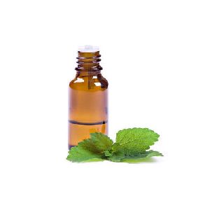 Indian Peppermint Essential Oil