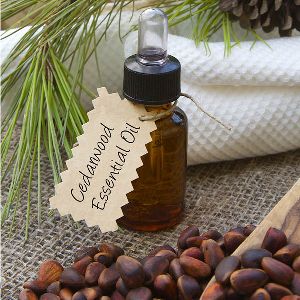 Texas Cedarwood Essential Oil