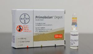 Primobolan (methenolone ) 100mg uk