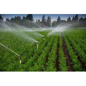 Sprinkler Irrigation System