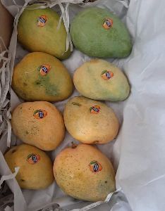Badmi Mango