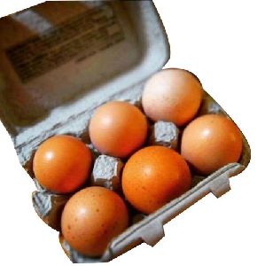 Organic Egg, Color : Brown