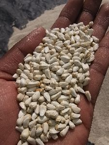 Safflower seeds .