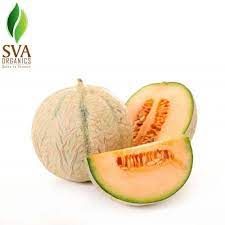 Musk Melon Seed Oil