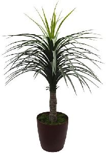 Artificial Nolina Plant