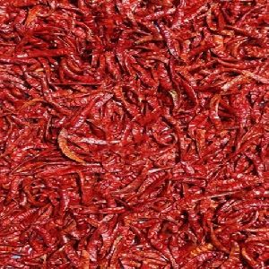 Guntur Stemless Dried Red Chilli