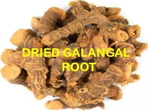 Dried Galangal Root