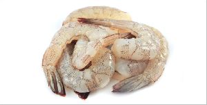 Fresh Sea White Shrimp