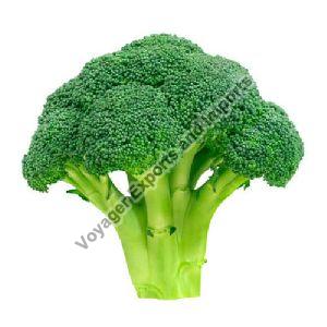 fresh broccoli