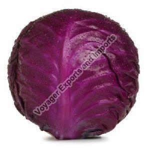 Fresh Red Cabbage