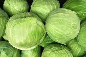 fresh cabbage