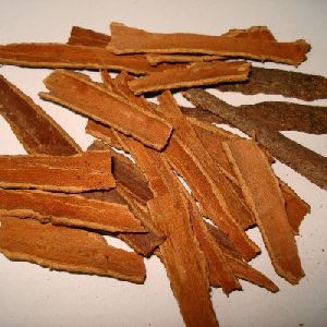 Cinnamon Bark