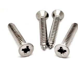 8x1/2 Inches SS Screws