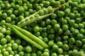 Green Peas Seeds / Matar Beej