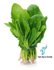 Spinach Seeds / Palak Beej