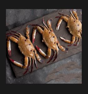 Sea Crabs