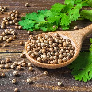 coriander seeds