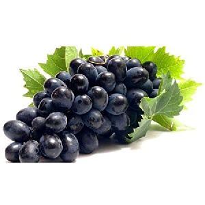 fresh black grapes