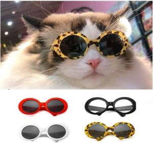 PET SUNGLASSES HOT SALE IN FASHONA 2022 NEW SEASON