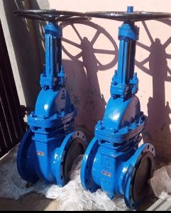 gate valve