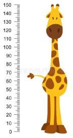 Height Meter