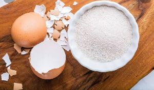 egg shell powder