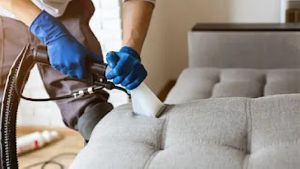 Sofa and furniture cleaning