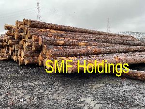 SYP logs from SMF Holding Timber Yard USA