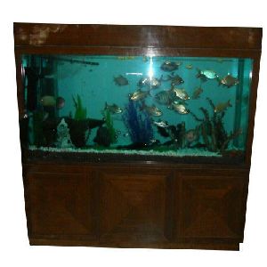 wooden fish aquarium