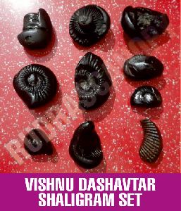 Vishnu Dashavtar Shaligram