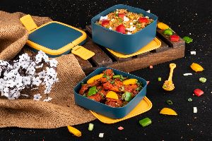 AMAR IMPEX SQUARE LUNCH BOX 2 COMPARTMENT WITH 1 SPOON