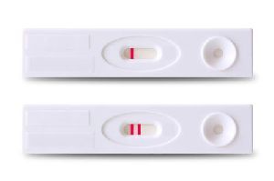 Pregnancy HCG Detection Test Kit
