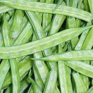 Research USA Cluster Beans Seeds
