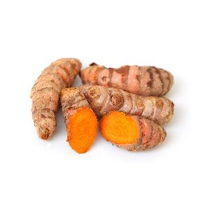 Fresh Turmeric