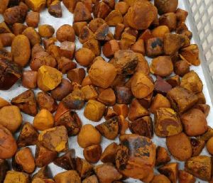 Ox,Cow,Cattle, Gallstones