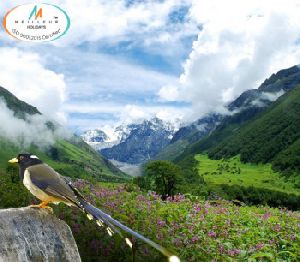 North Sikkim Tour Packages .